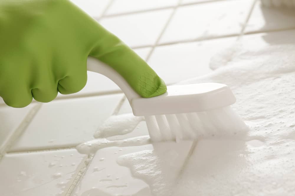 Where can I find comprehensive and cost-effective house cleaning services in Rainier, WA