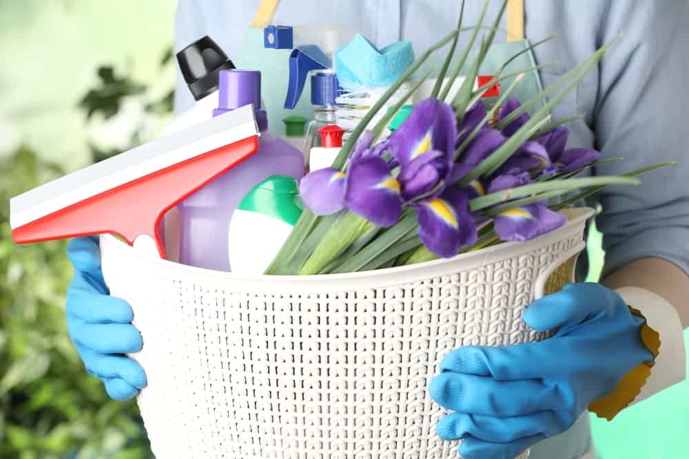 house cleaning service jubilee