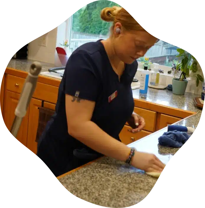 Premier House Cleaning (1)