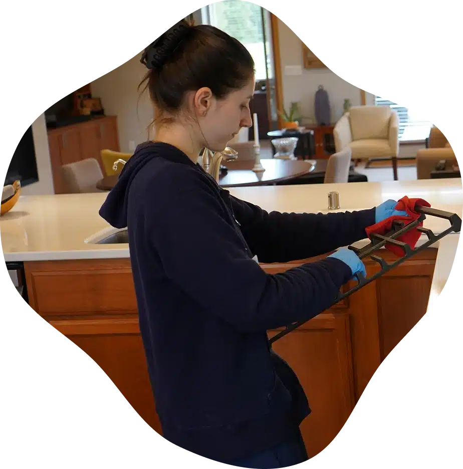 move in & move out cleaning