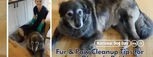 National Dog Day