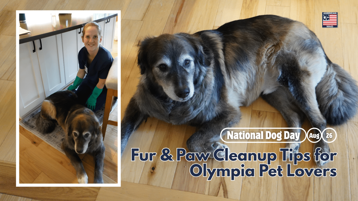 National Dog Day: Fur & Paw Cleanup Tips for Olympia Pet Lovers