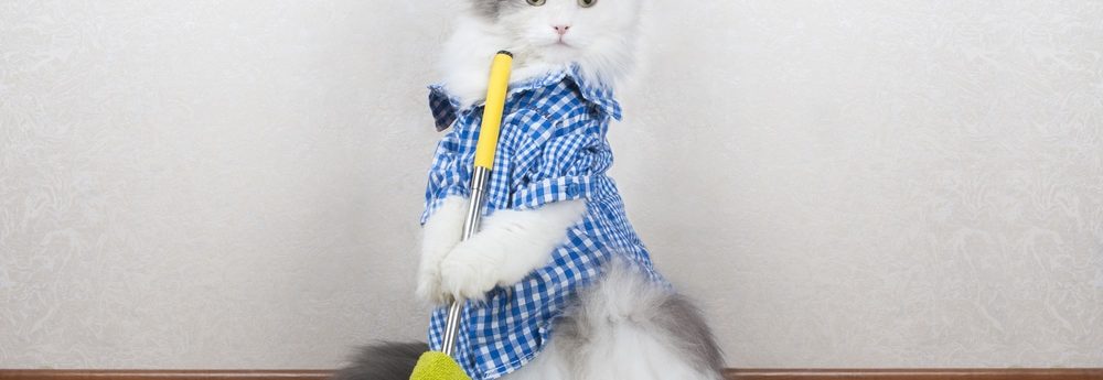 How do I get rid of cat hair in my house
