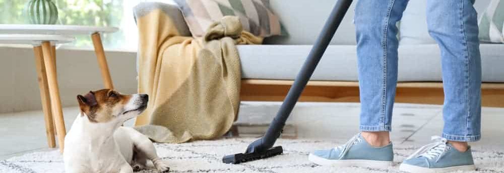 How do you clean your house with pets?