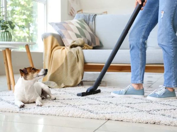How do you clean your house with pets?