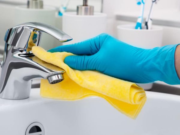 What companies in Rainier, WA offer a comprehensive maid service