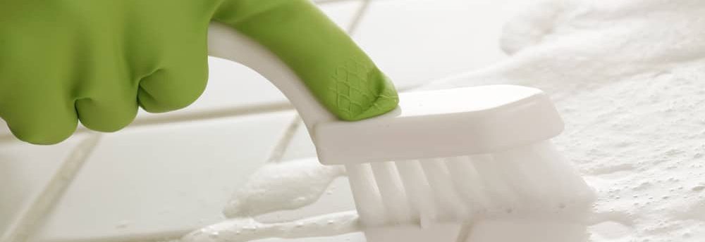 Where can I find comprehensive and cost-effective house cleaning services in Rainier, WA Where can I find comprehensive and cost-effective house cleaning services in Rainier, WA
