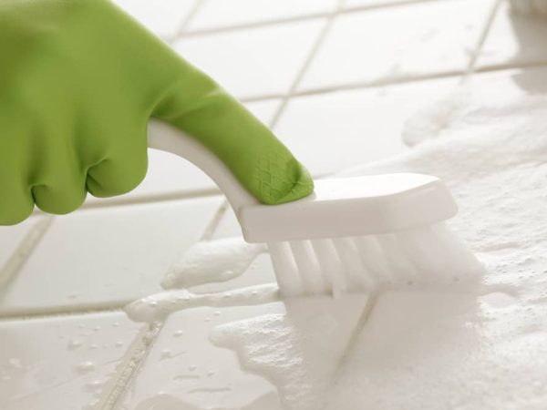 Where can I find comprehensive and cost-effective house cleaning services in Rainier, WA